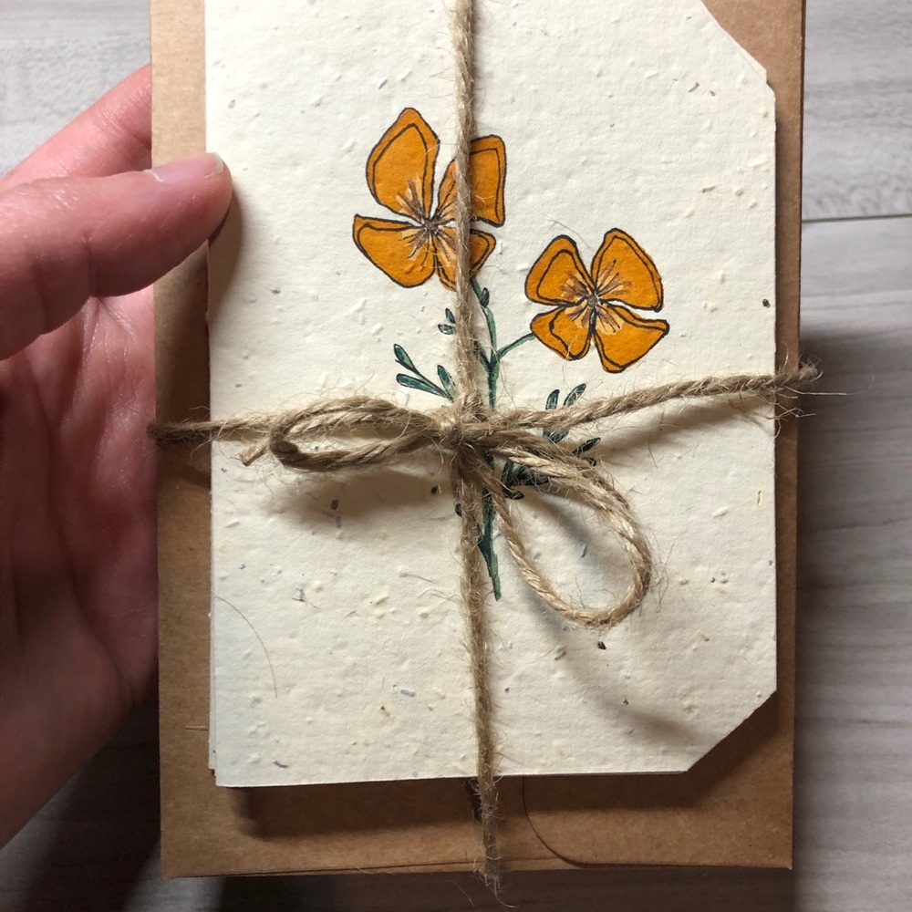 4 Plantable California Poppy greeting cards, plantable stationary set - Picture 2 of 8